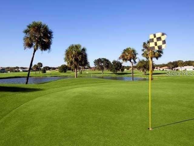 1406 Bluewater Drive Sun City Center FL 33573 TB8513637 image53