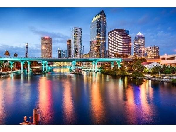 1406 Bluewater Drive Sun City Center FL 33573 TB8513637 image58