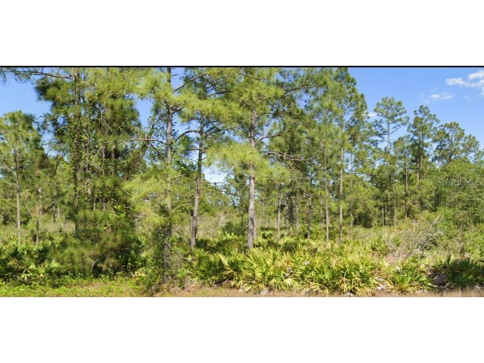 1406 Edison Avenue Lehigh Acres FL 33972 TB8444008 image1