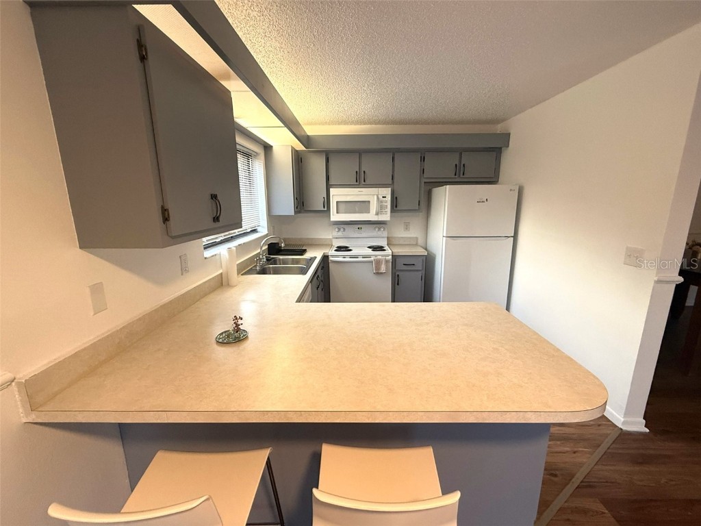 1406 Park Shore Circle #3 Fort Myers FL 33901 O6366383 image3