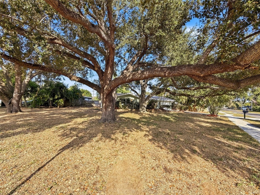 1406 S Lake Avenue Clearwater FL 33756 W7881181 image4