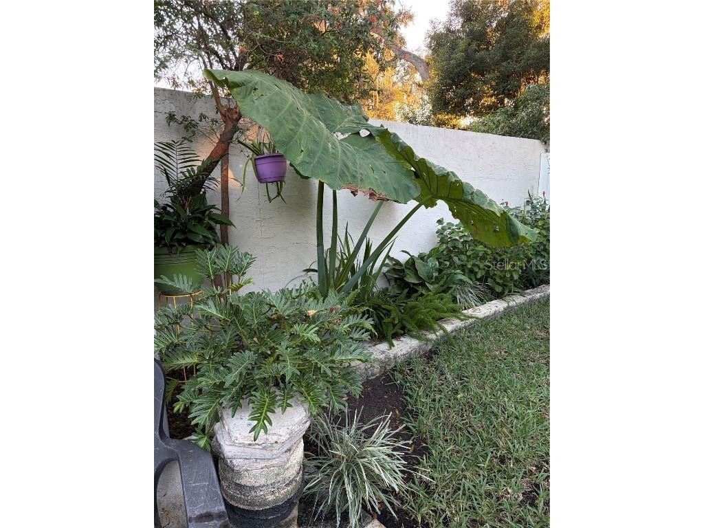 1406 Walden Oaks Place Plant City FL 33563 L4957455 image53