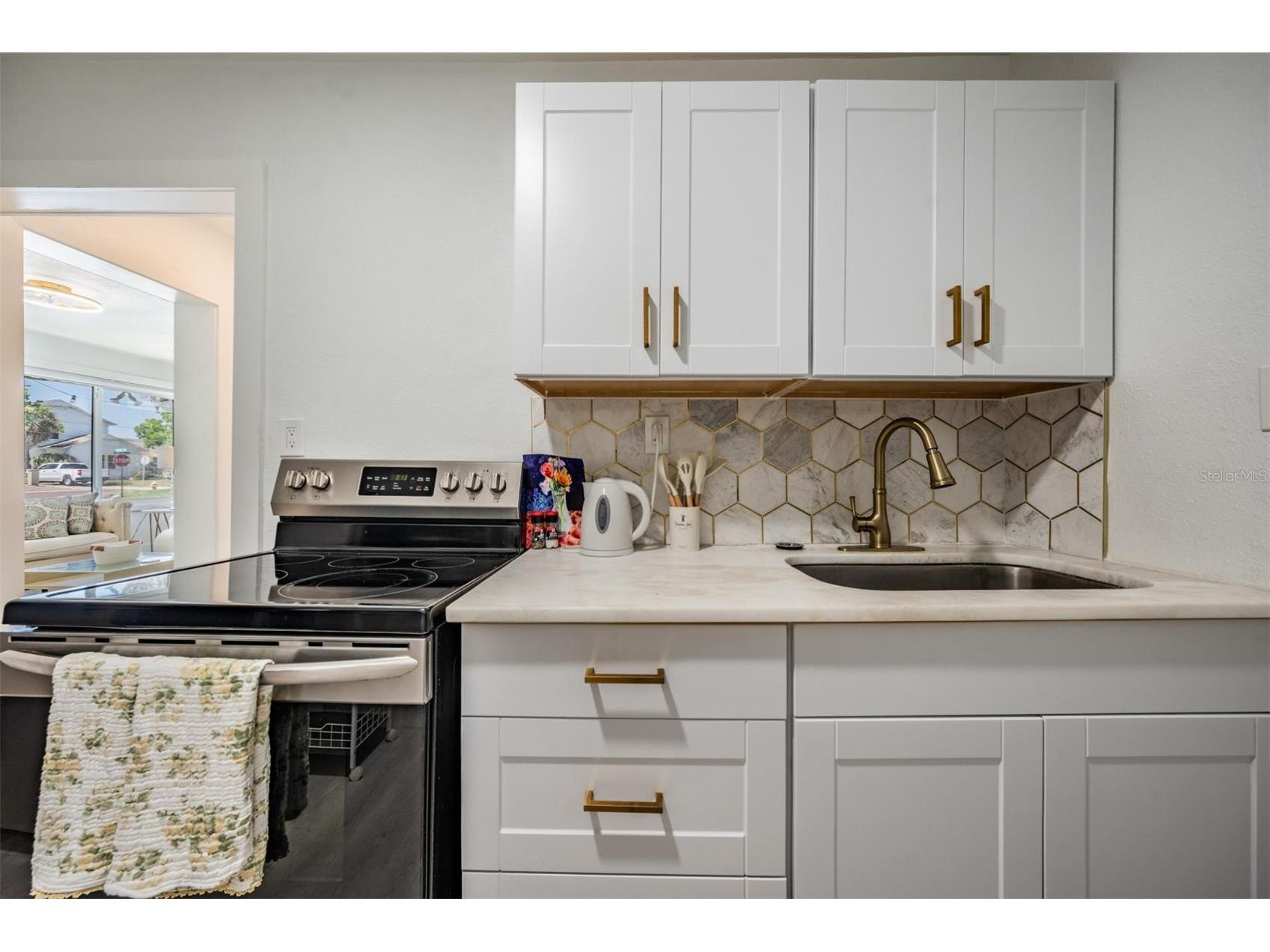 14060 Miramar Avenue Saint Petersburg FL 33708 - MADERIA BEACH TB8522575 image19