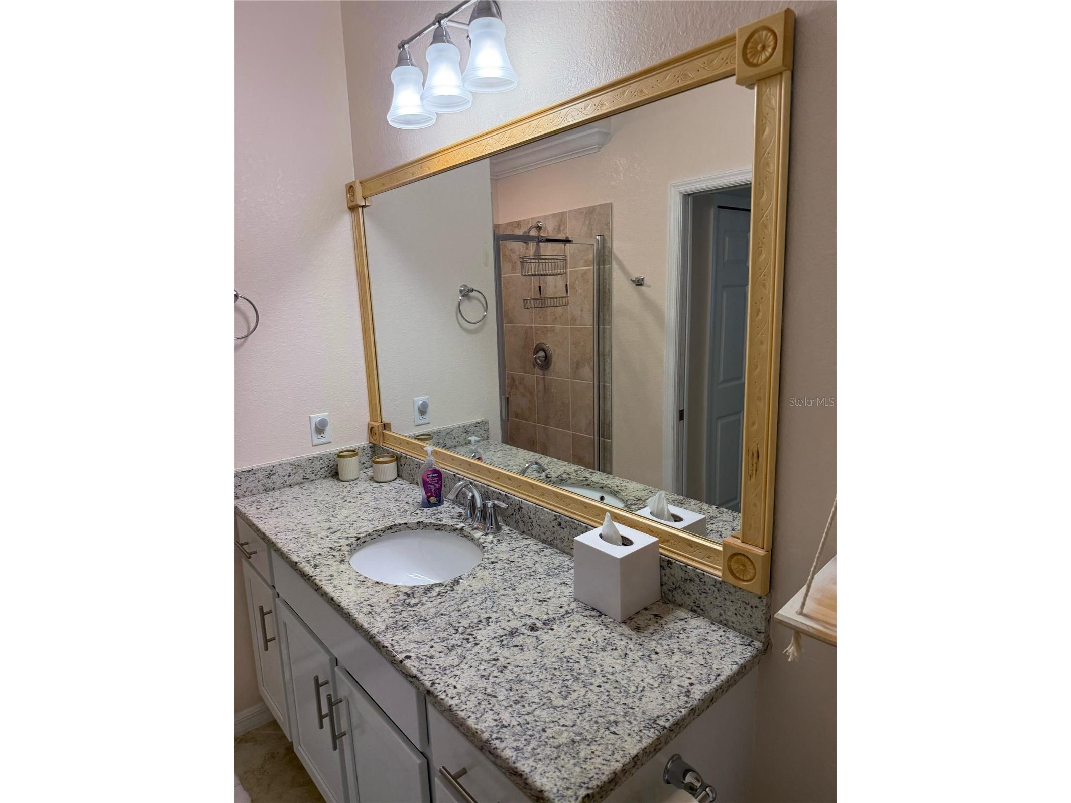 14061 Heritage Landing Boulevard #443 Punta Gorda FL 33955 O6382747 image22