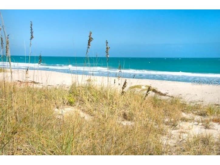 14062 Palm Street #E 1 Madeira Beach FL 33708 C7523000 image18