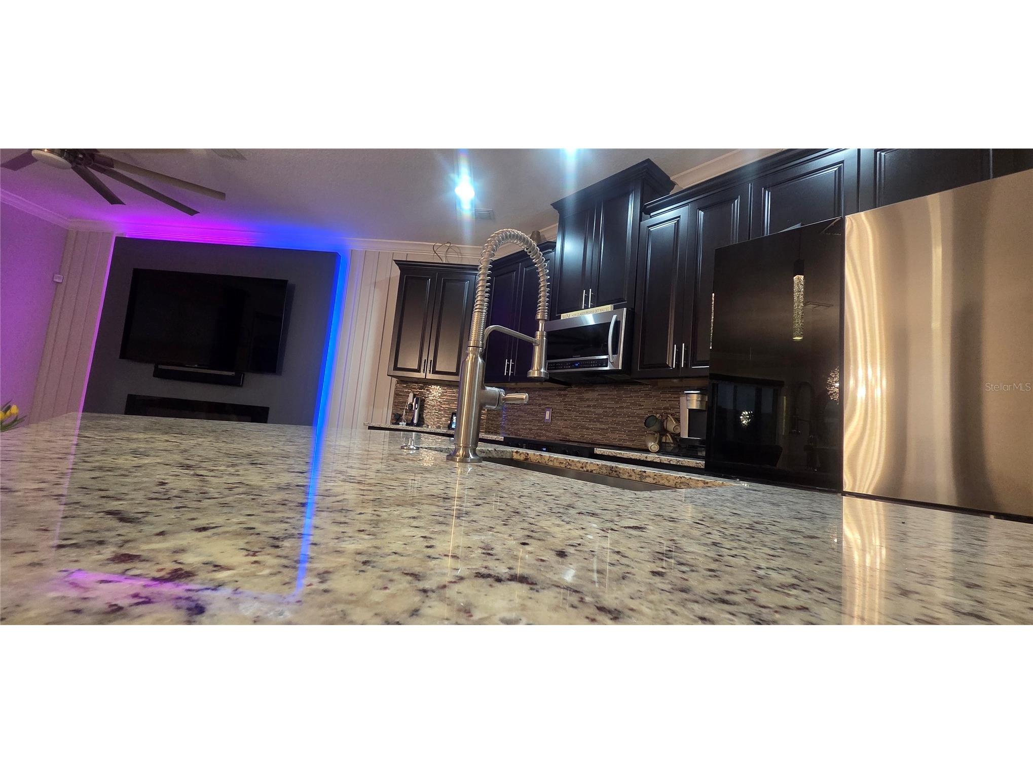 14064 Helsby Street Orlando FL 32832 S5148851 image10