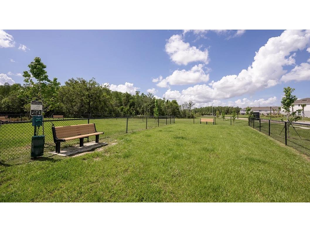 14064 Textile Run Parrish FL 34219 TB8453165 image19