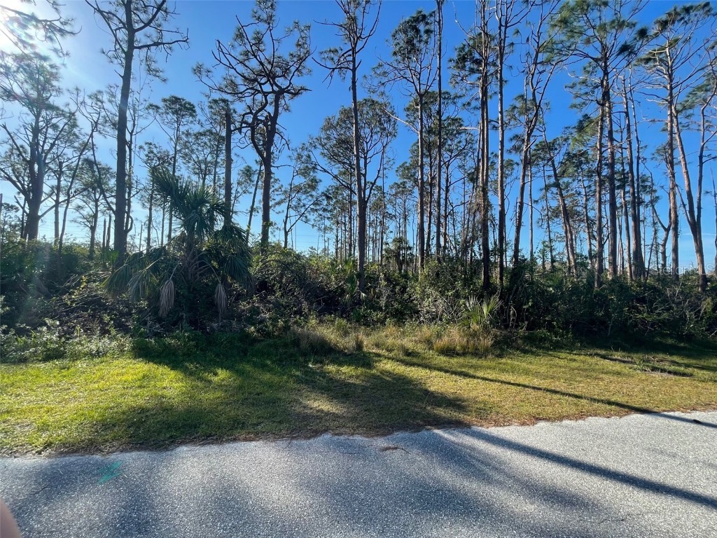 14065 Naylor Avenue Port Charlotte FL 33981 T3424445 image1