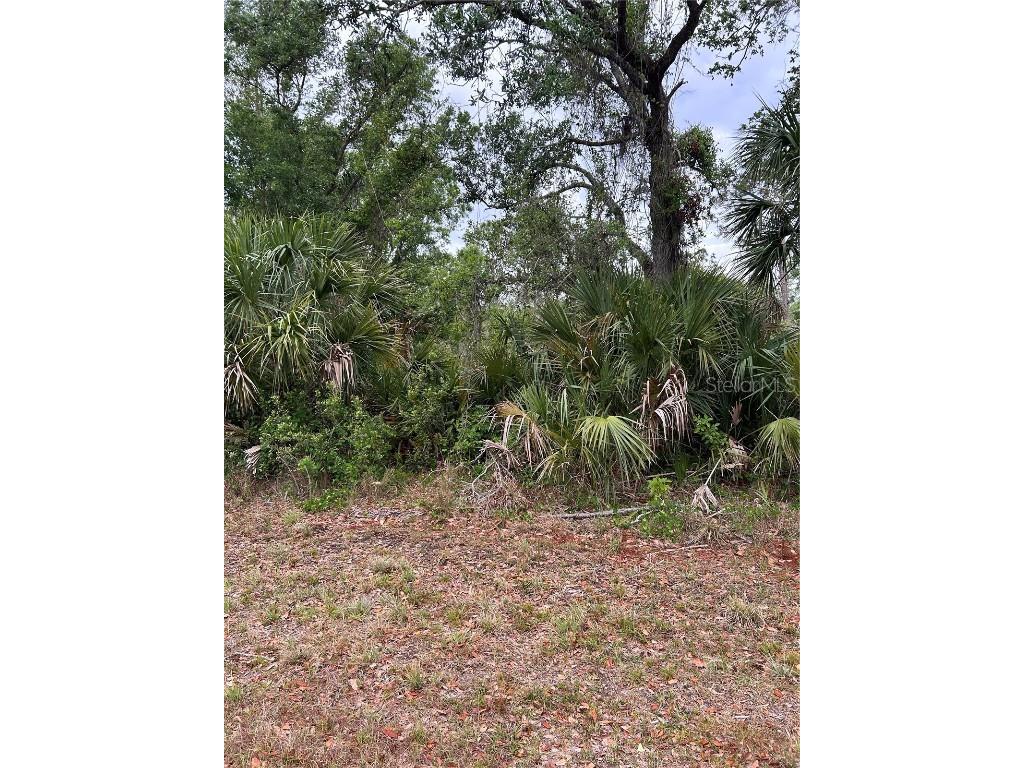 14066 Stanfield Avenue Port Charlotte FL 33953 A4648162 image1