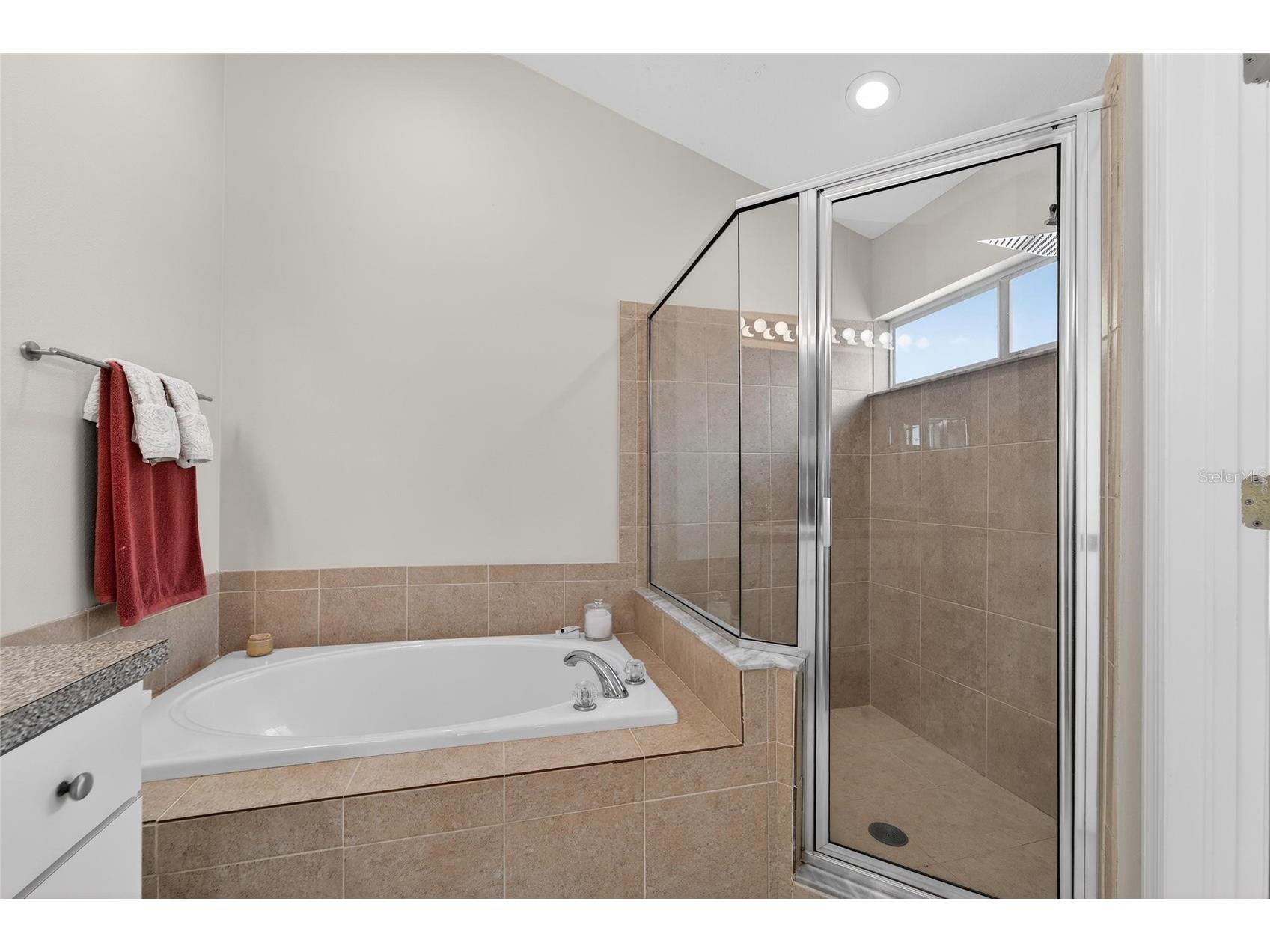 1407 Bloomingdale Trails Boulevard Brandon FL 33511 TB8486881 image31