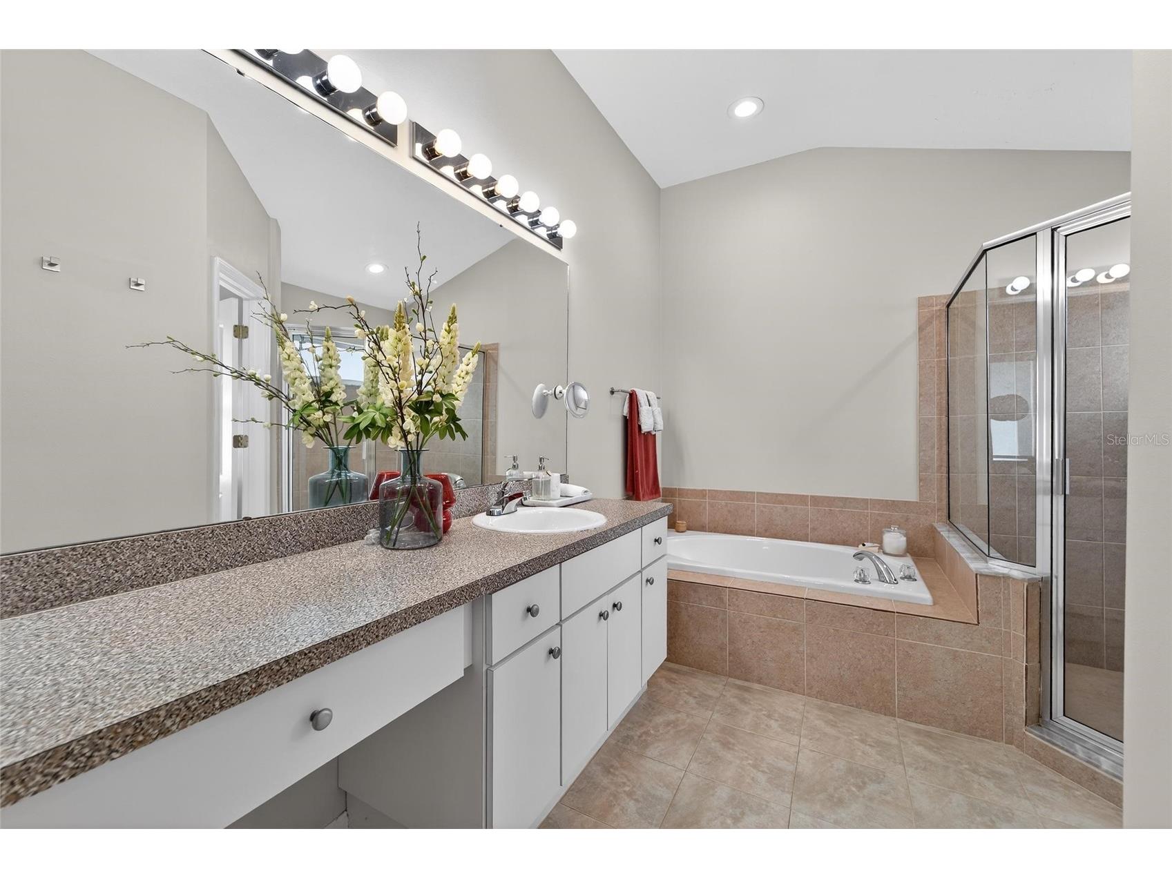 1407 Bloomingdale Trails Boulevard Brandon FL 33511 TB8486881 image32