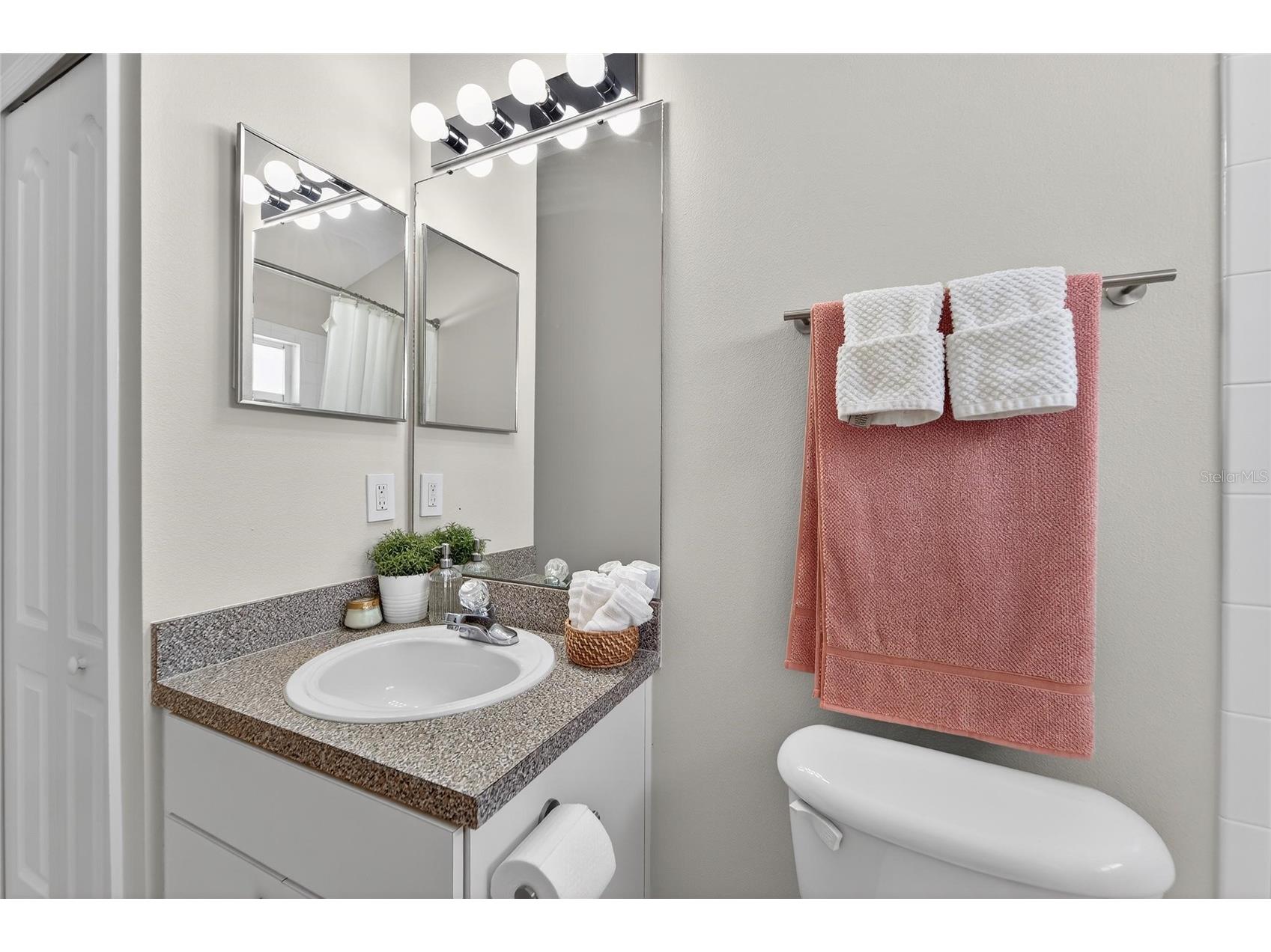 1407 Bloomingdale Trails Boulevard Brandon FL 33511 TB8486881 image46