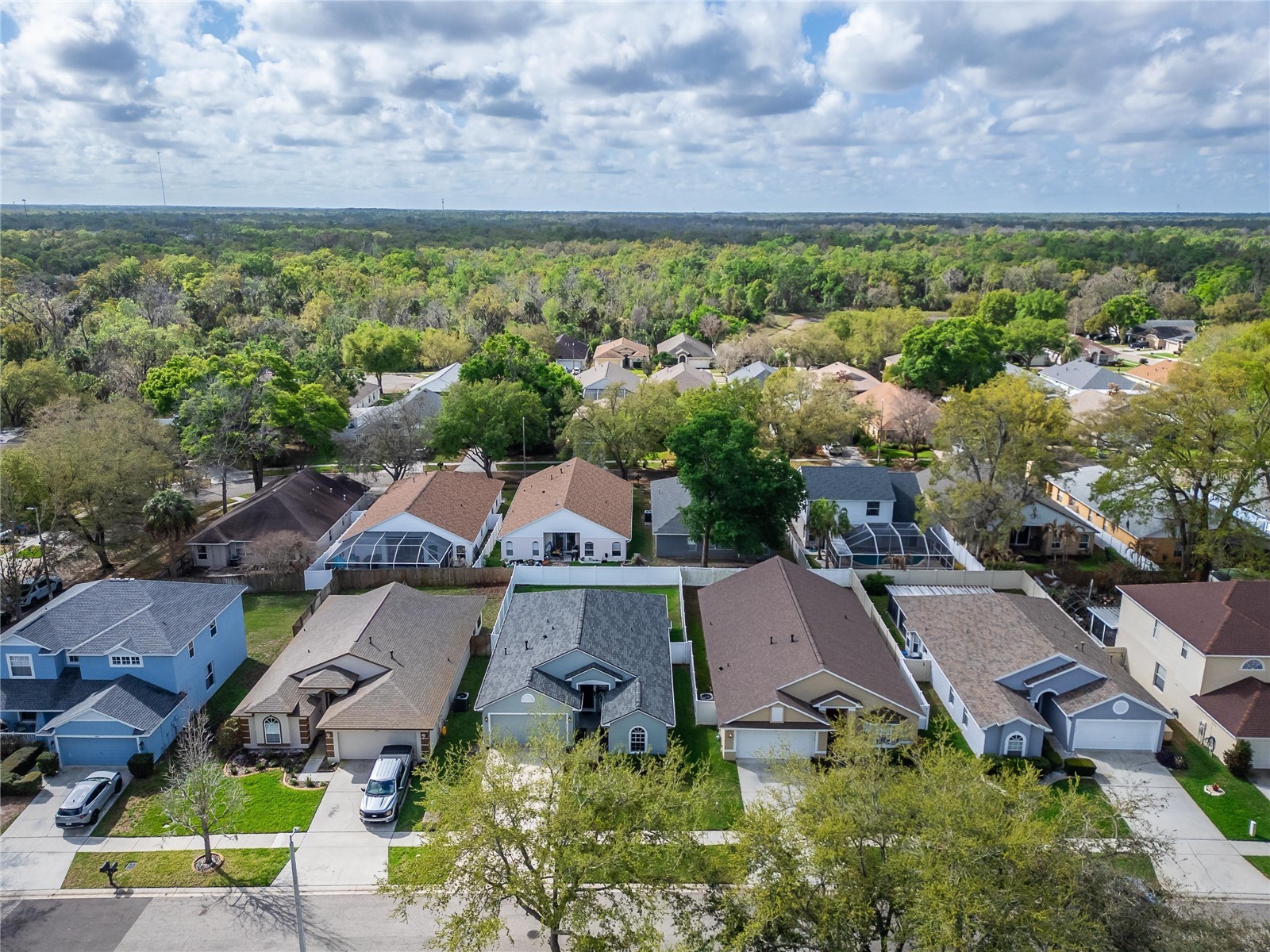 1407 Bloomingdale Trails Boulevard Brandon FL 33511 TB8486881 image69