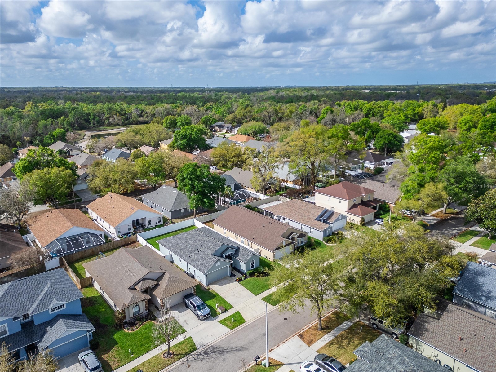 1407 Bloomingdale Trails Boulevard Brandon FL 33511 TB8486881 image72