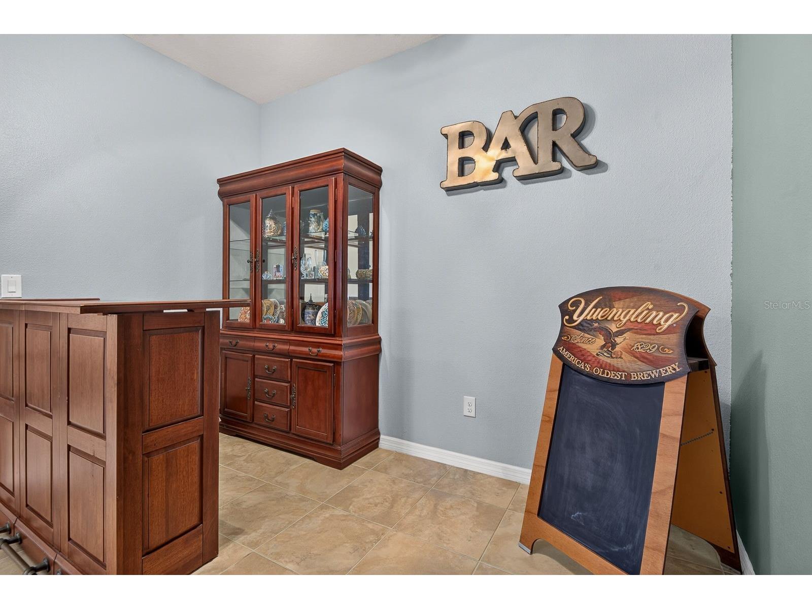 1407 Custer Bayou Street Ruskin FL 33570 A4701006 image11