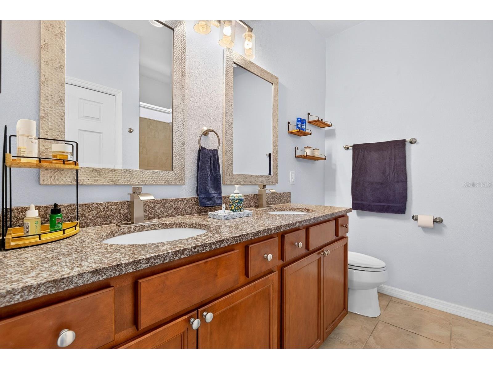 1407 Custer Bayou Street Ruskin FL 33570 A4701006 image33