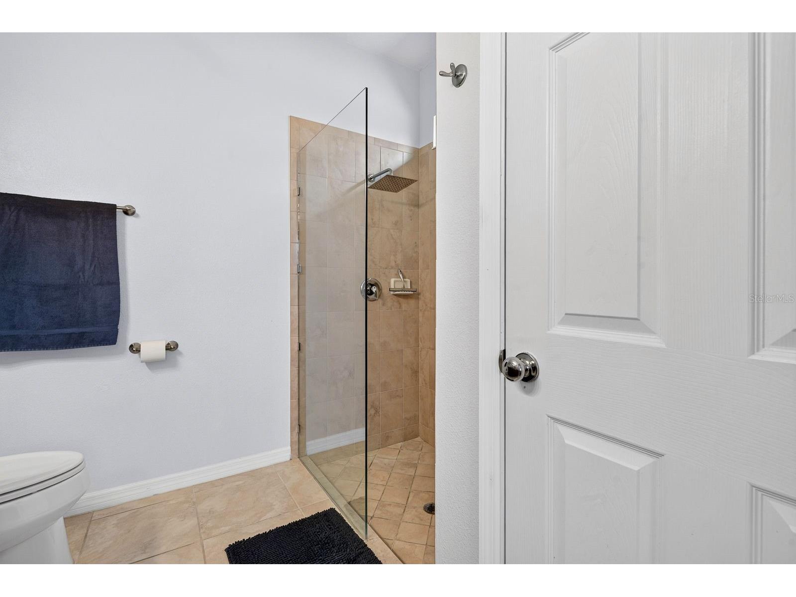 1407 Custer Bayou Street Ruskin FL 33570 A4701006 image34
