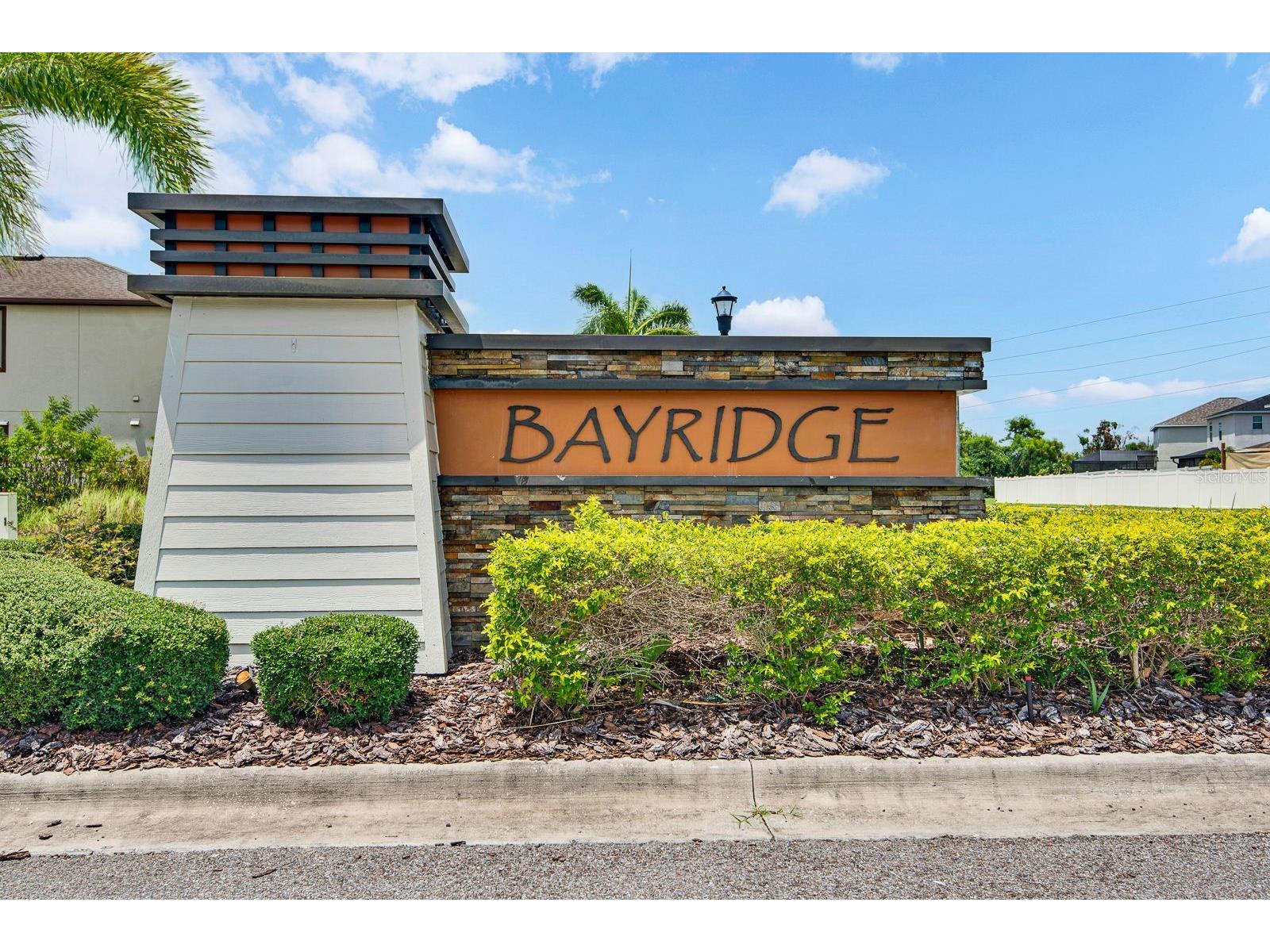 1407 Custer Bayou Street Ruskin FL 33570 A4701006 image49