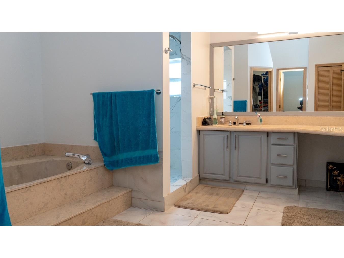 1407 Hempel Avenue Windermere FL 34786 O6410840 image51