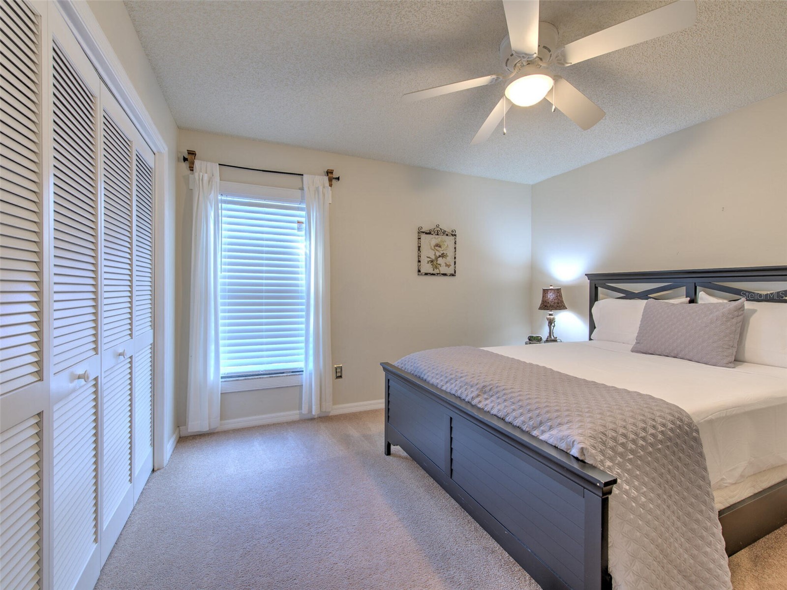 1407 Holleman Drive Valrico FL 33596 TB8456668 image16