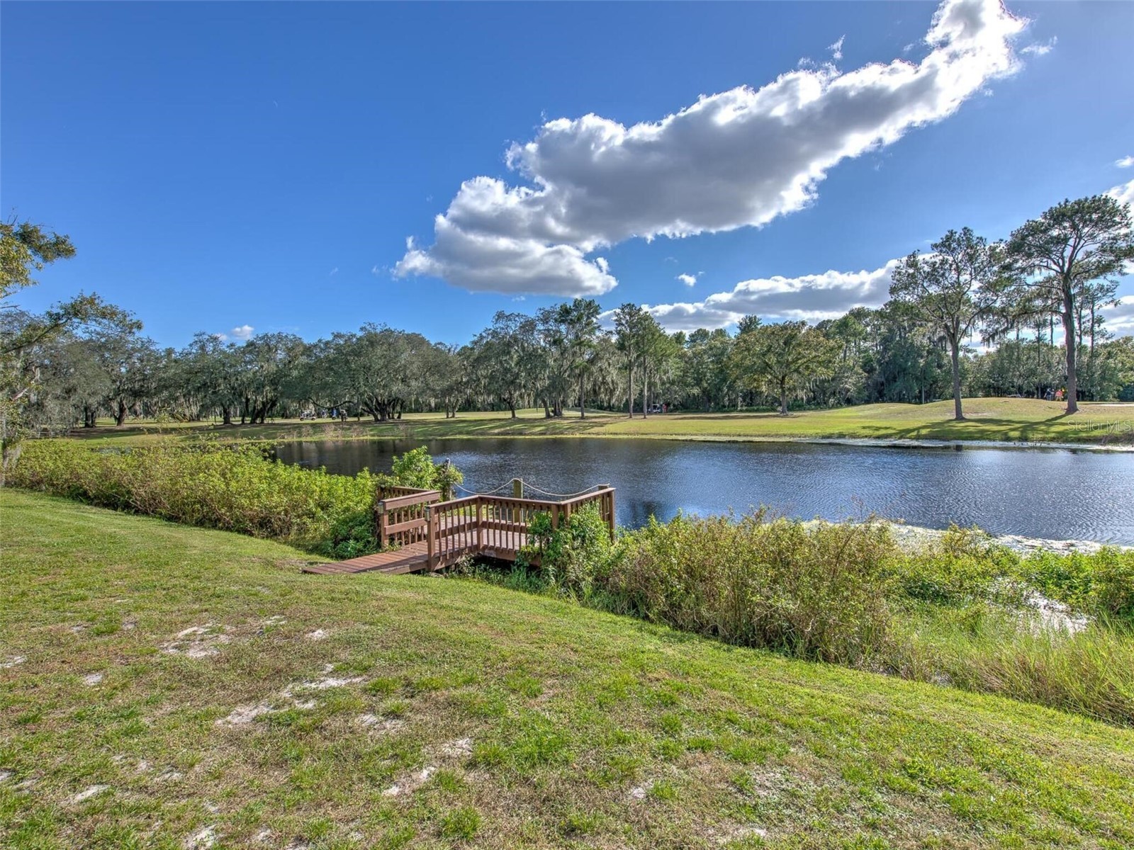 1407 Holleman Drive Valrico FL 33596 TB8456668 image34