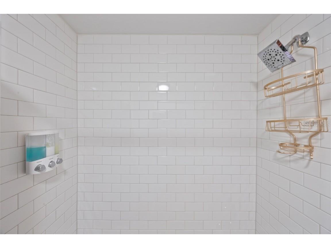 1407 Jean Street Lutz FL 33548 - LAKE THOMAS TB8383095 image19