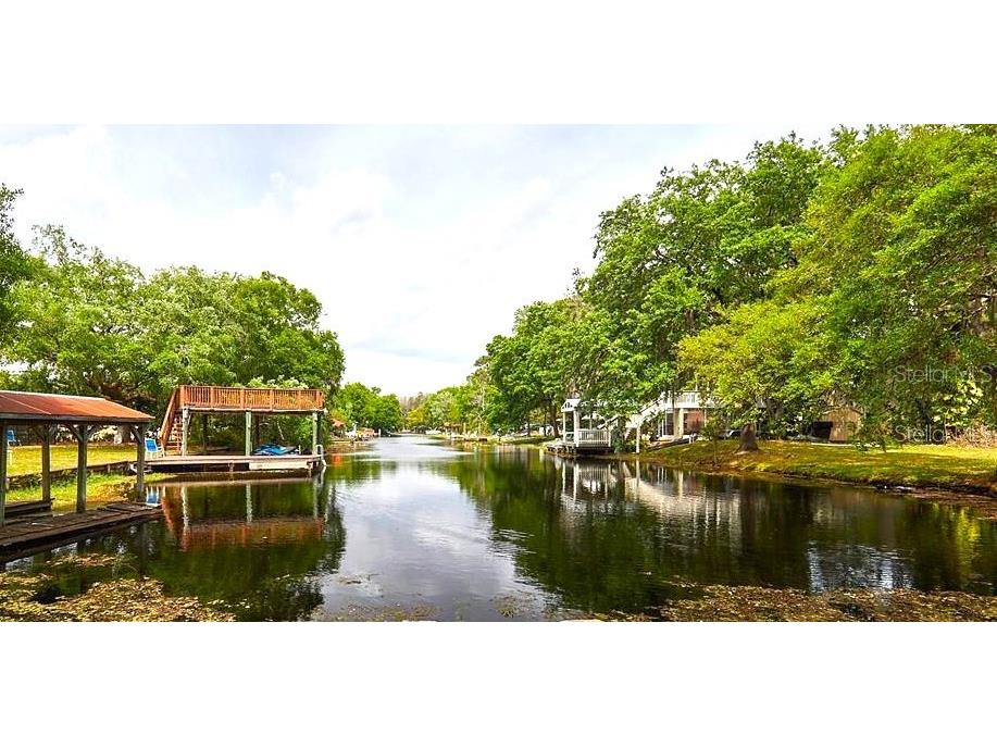 1407 Jean Street Lutz FL 33548 - LAKE THOMAS TB8383095 image35