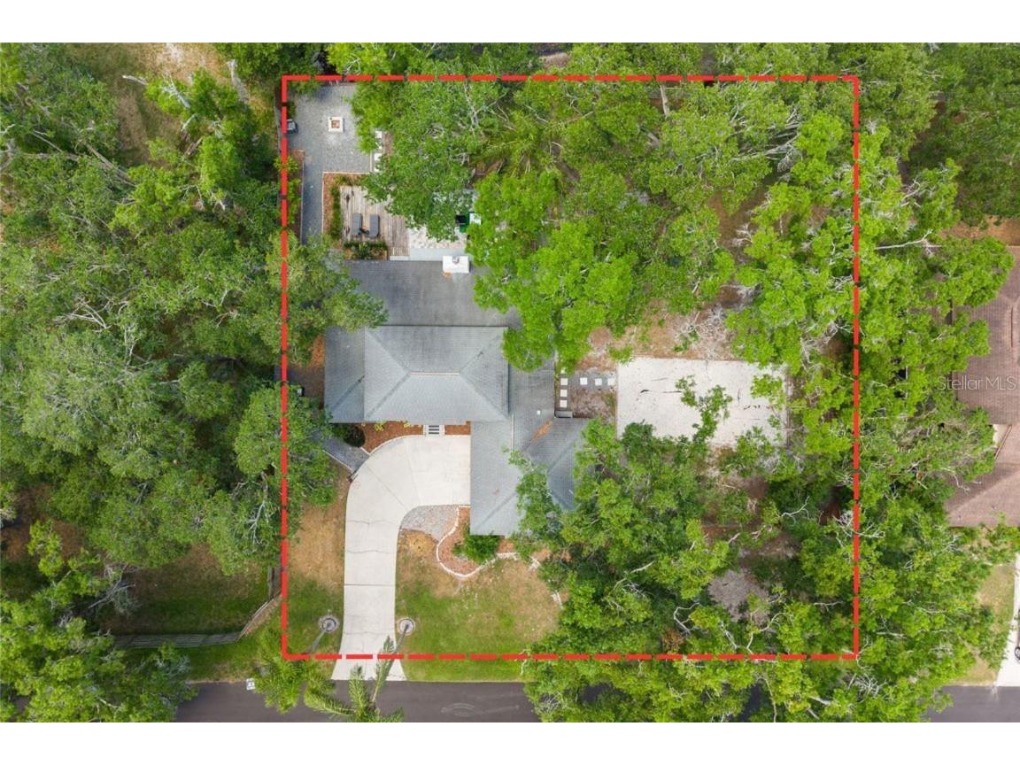 1407 Jean Street Lutz FL 33548 - LAKE THOMAS TB8383095 image39