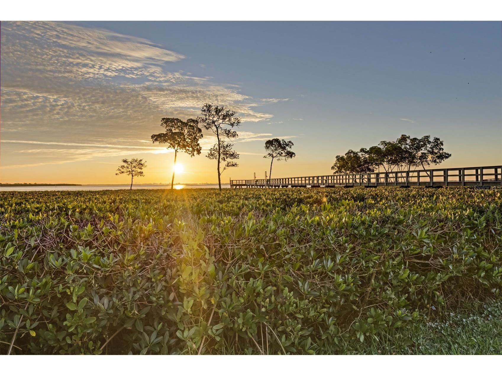 1407 N Bayshore Drive Safety Harbor FL 34695 - OLD TAMPA BAY TB8465072 image3