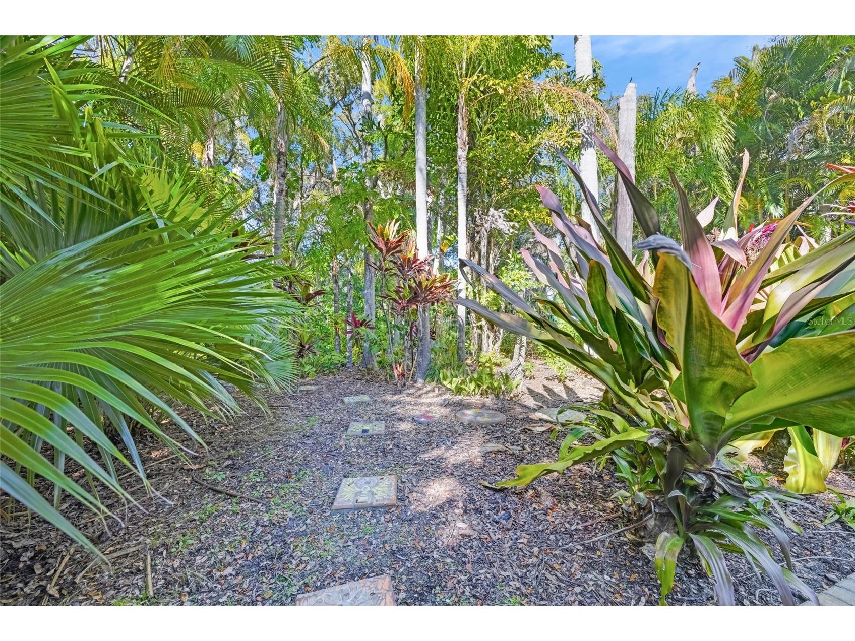 1407 N Bayshore Drive Safety Harbor FL 34695 - OLD TAMPA BAY TB8465072 image77