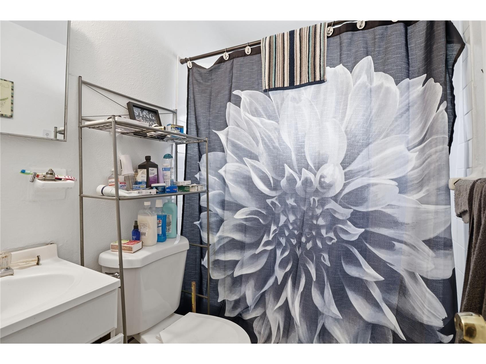 1407 Taft Avenue Clearwater FL 33755 A4680211 image6