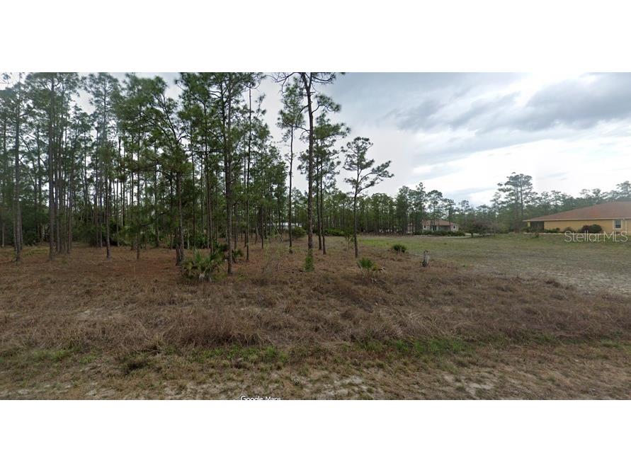 1407 Thompson Avenue Lehigh Acres FL 33972 S5138372 image5