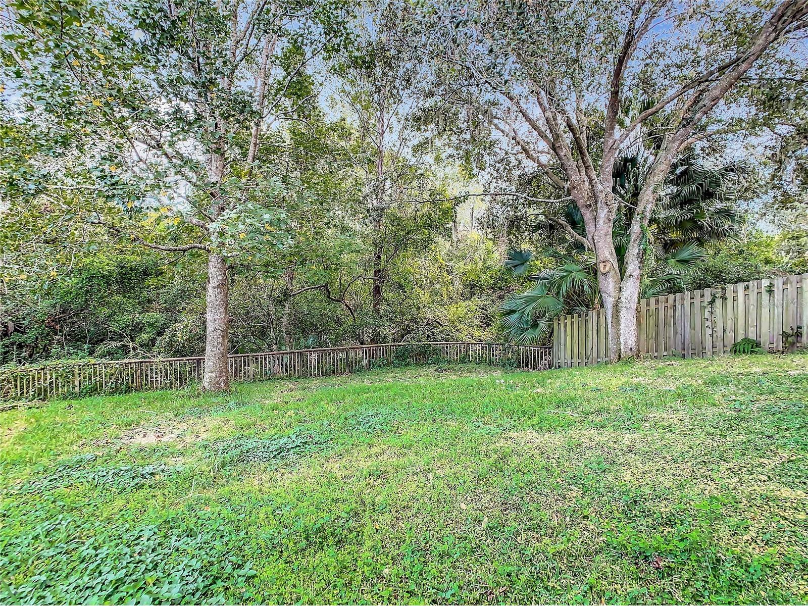 1407 Trail Boss Lane Brandon FL 33511 TB8512520 image49