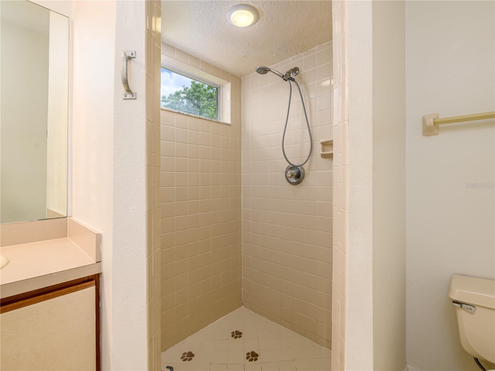 1407 Wakefield Drive Brandon FL 33511 TB8512747 image24