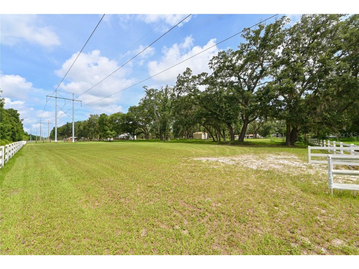 1407 Whitaker Road Lutz FL 33549 T3454826 image1