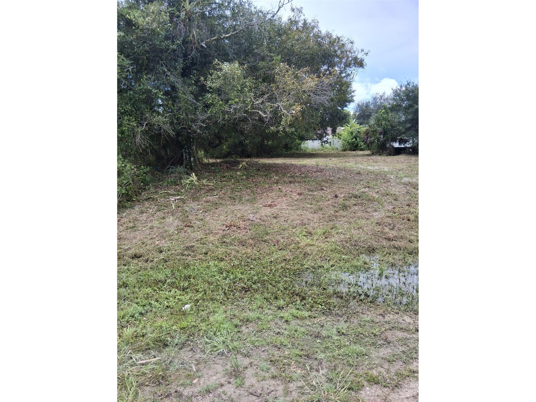 14070 Carlos Street Fort Myers FL 33905 O6409205 image1