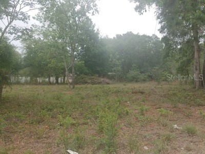 14070 SE 44th Avenue Summerfield FL 34491 OM656154 image1