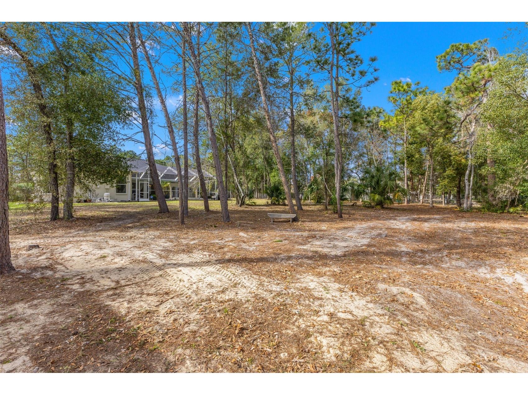 14071 Linden Drive Spring Hill FL 34609 TB8468116 image60