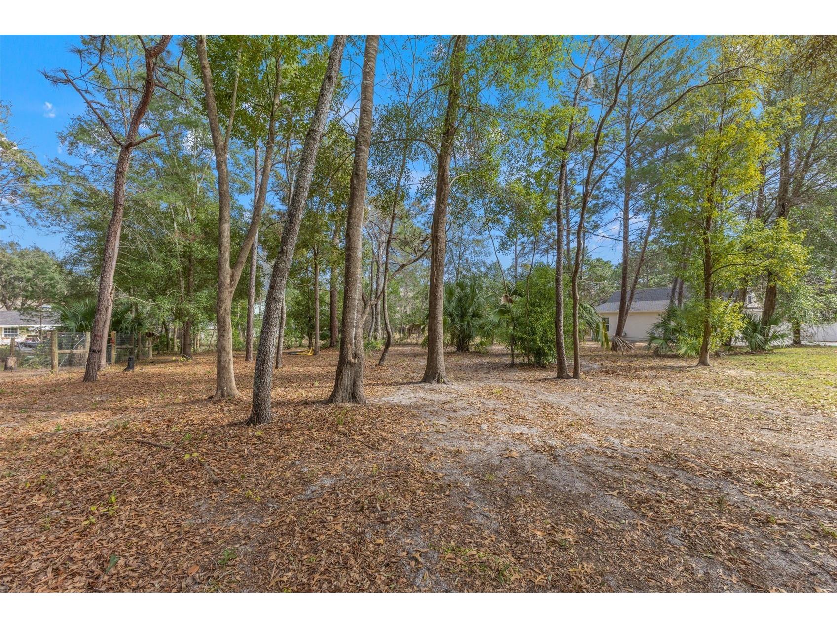 14071 Linden Drive Spring Hill FL 34609 TB8468116 image63
