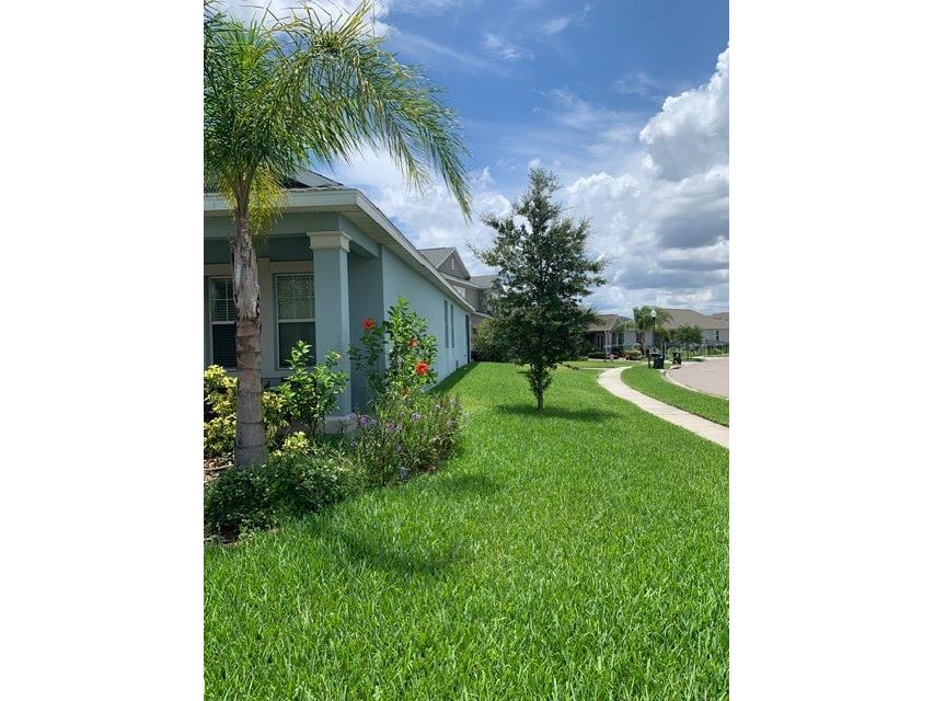 14072 Gold Bridge Drive Orlando FL 32824 S5148248 image4