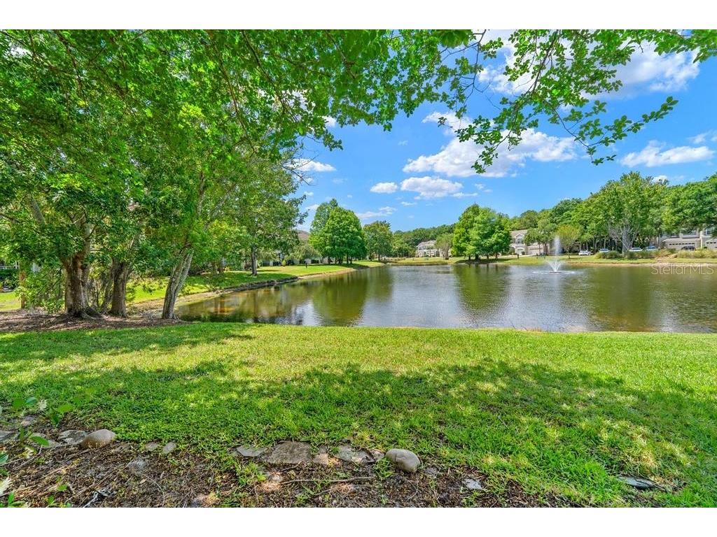 14072 Waterville Circle Tampa FL 33626 TB8505942 image25