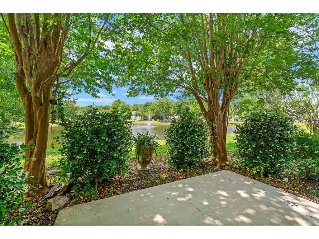 14072 Waterville Circle Tampa FL 33626 TB8505942 image26