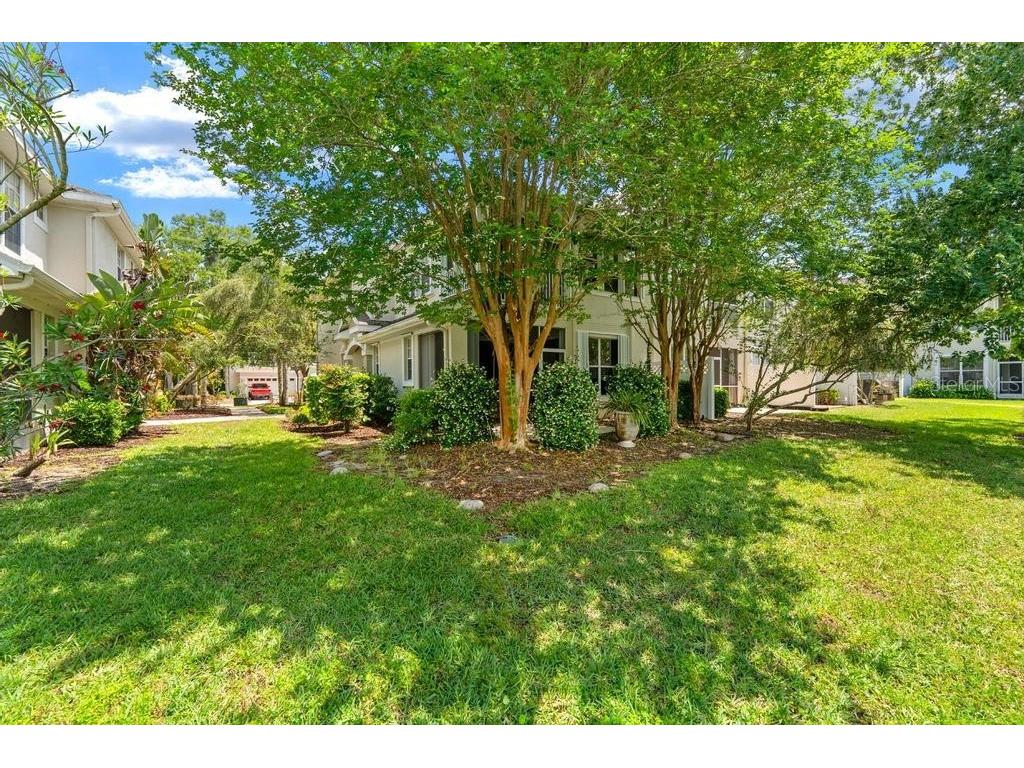 14072 Waterville Circle Tampa FL 33626 TB8505942 image27