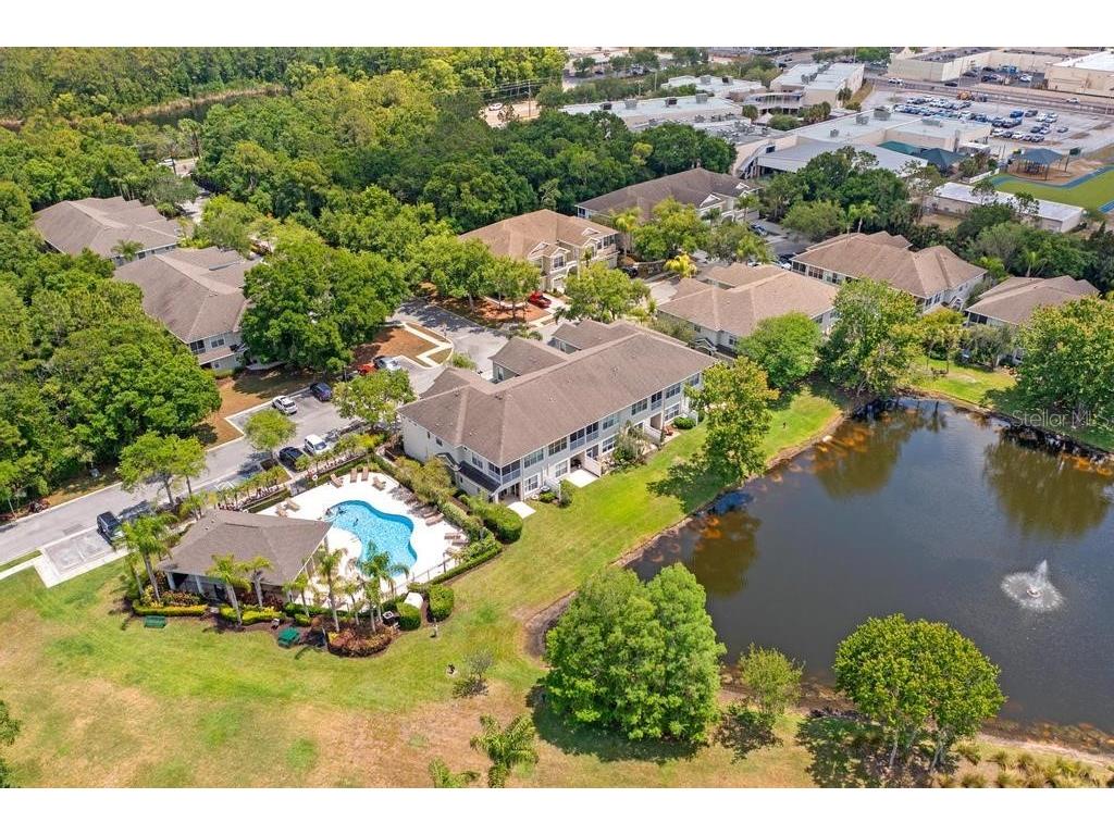 14072 Waterville Circle Tampa FL 33626 TB8505942 image29