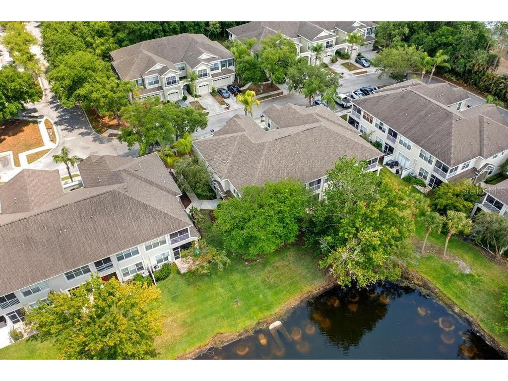 14072 Waterville Circle Tampa FL 33626 TB8505942 image30