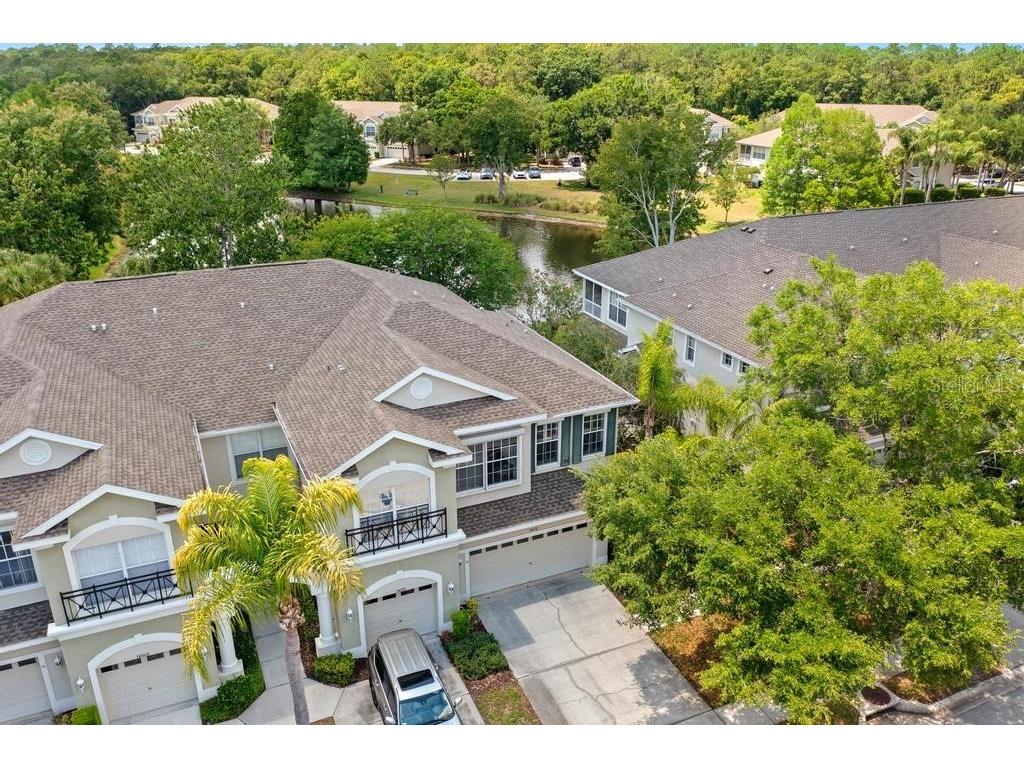 14072 Waterville Circle Tampa FL 33626 TB8505942 image31