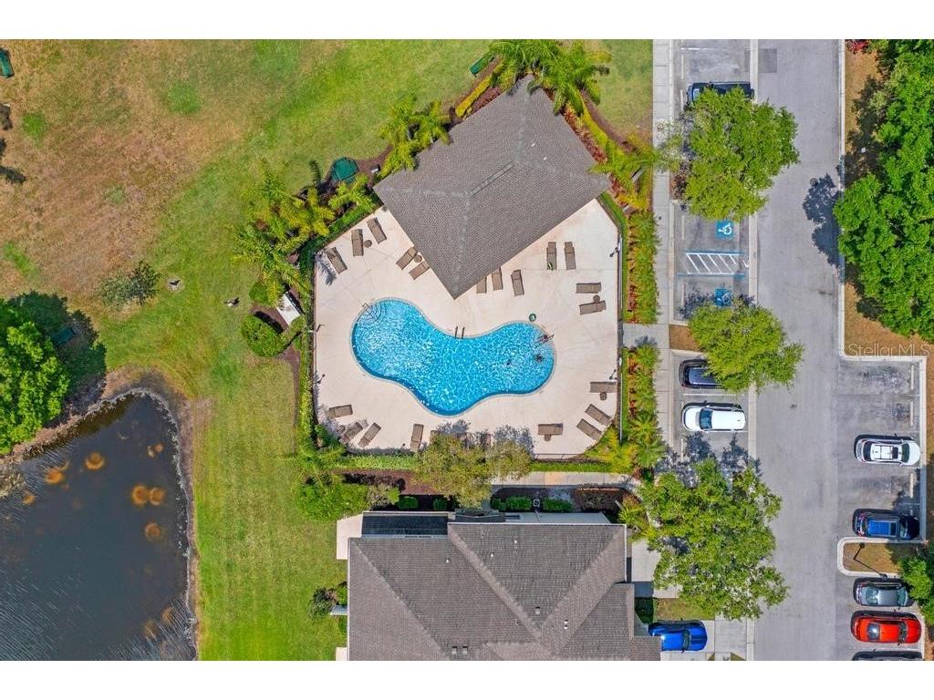14072 Waterville Circle Tampa FL 33626 TB8505942 image32
