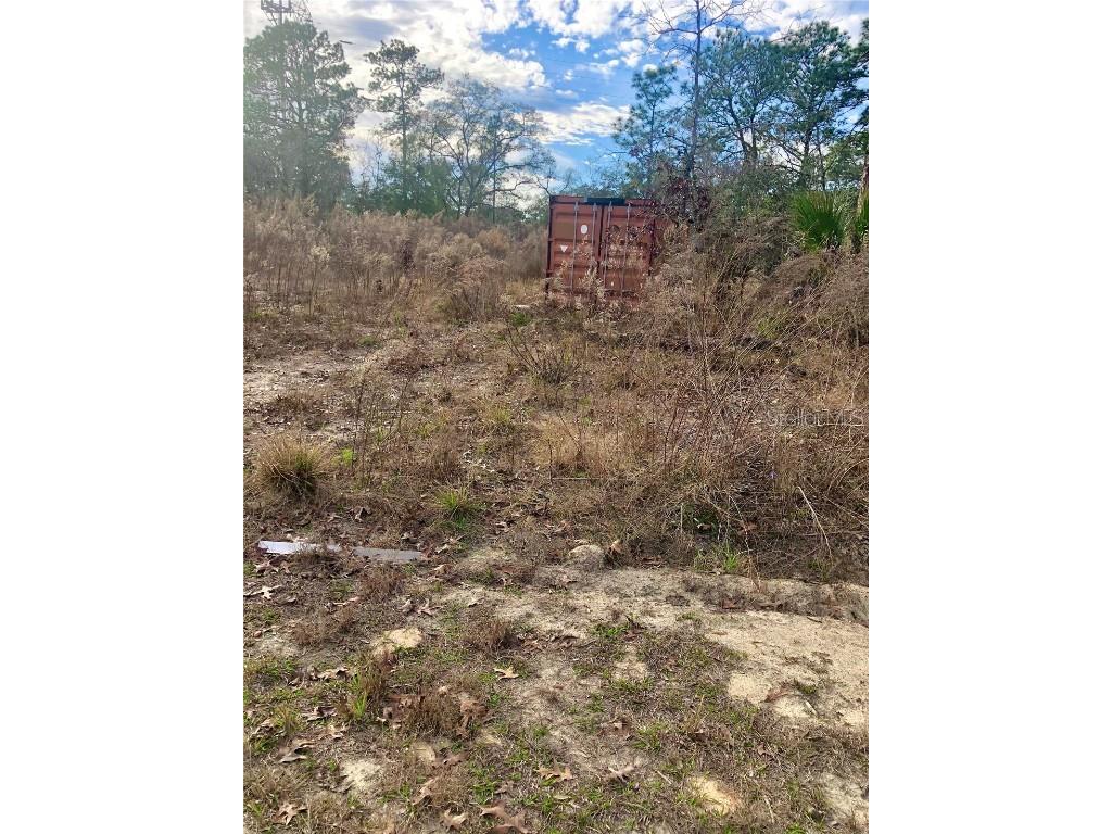 14073 Gold Crest Road Weeki Wachee FL 34614 W7851937 image1