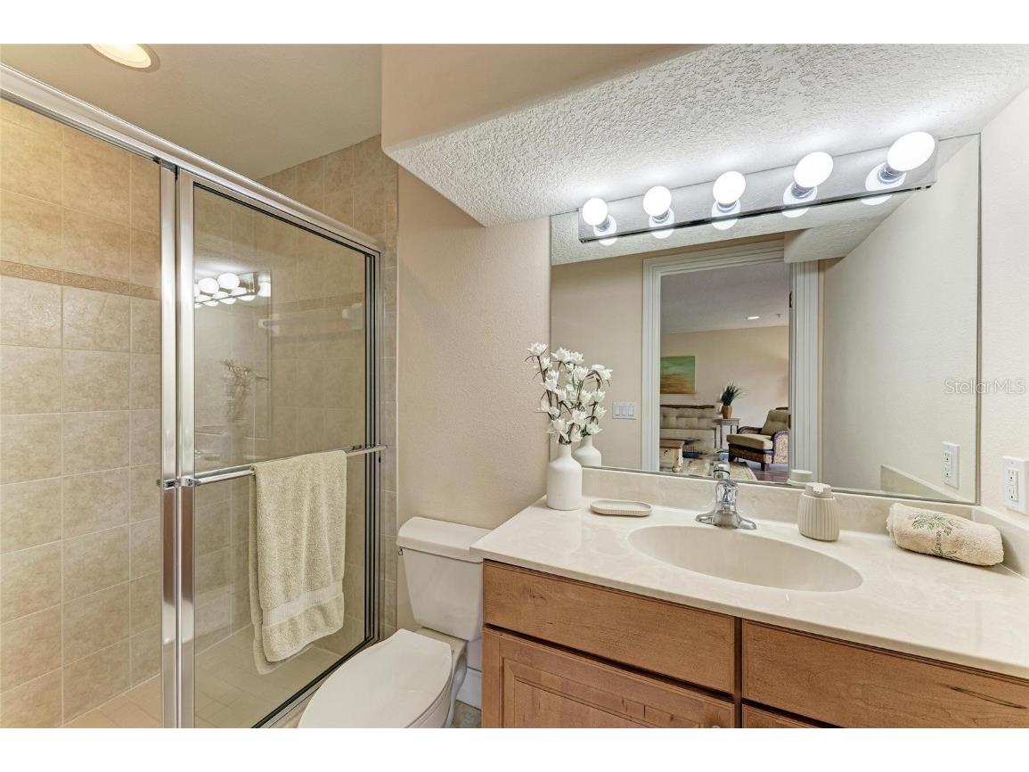 1408 3rd Street Circle E Palmetto FL 34221 - MANATEE RIVER A4664584 image50