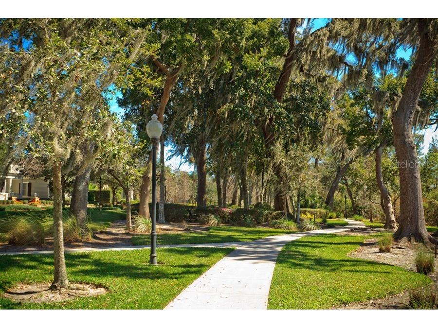 1408 Chapman Circle Winter Park FL 32789 - LAKE MIZELL O6357486 image45